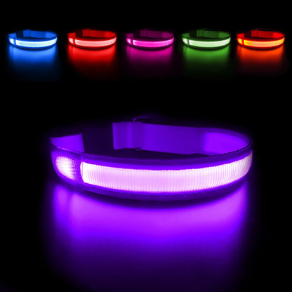 Dog Collar Luminous Pet Supplies Dog Collar Waterpoof Safety Collars Dropship